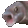 :fish: