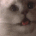 :4: